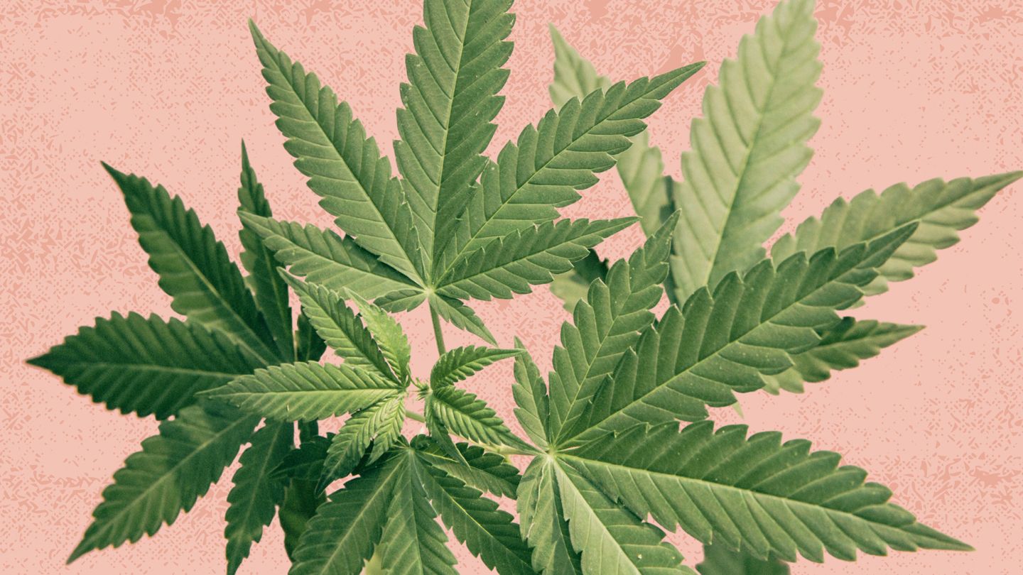 CBD