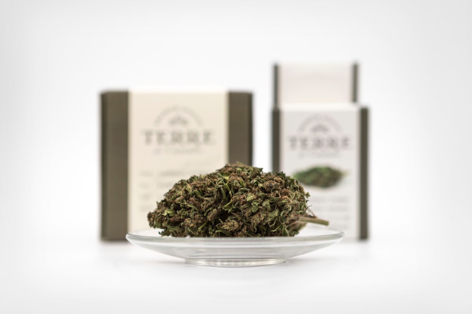 Your Comprehensive Guide to Understanding a THC Percentage Chart