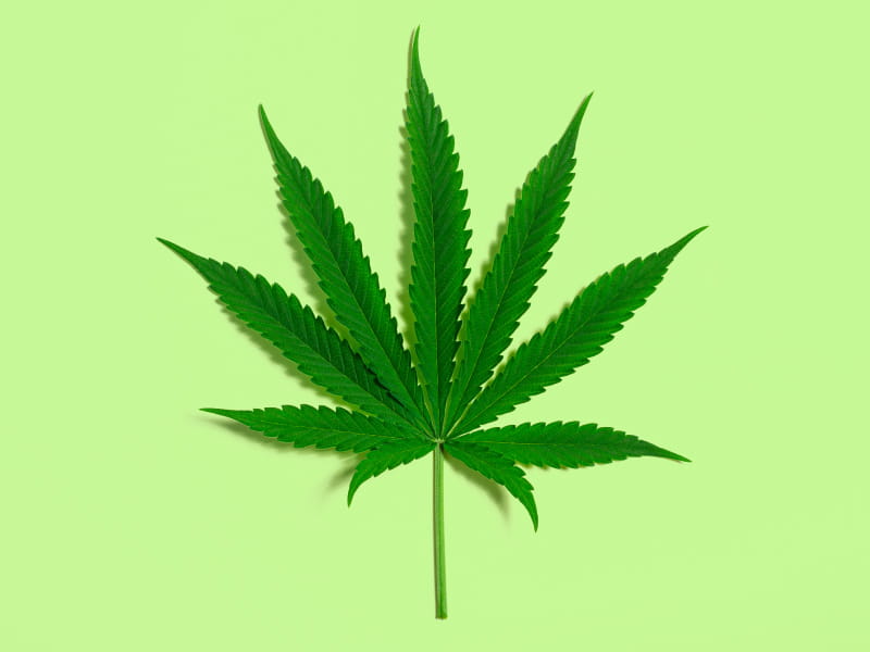 CBD